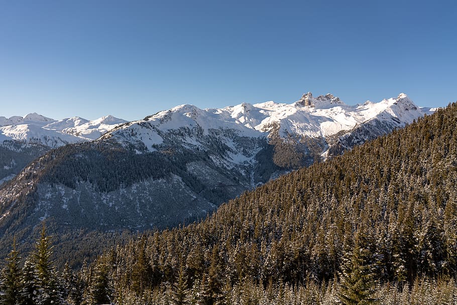 serralada coberta de neu, muntanya, a l'aire lliure, naturalesa, planta, arbre, Serra, avet, abies, gel, conífera, neu, pic, glacera, pendent, làrix, pista, esport, esports, picea, altiplà, temperatura de fred, hivern, escenics - natura, muntanya nevada, bellesa a la natura, cel, medi ambient, cap gent, paisatge, cel clar, pi, terra, tranquil·litat, arbre de coníferes, bosc de pi, cim de muntanya, 5K