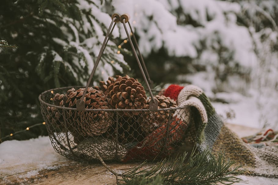 pinecones i kurv, mad og drikke, vinter, sne, kold temperatur, mad, fokus på forgrunden, ingen mennesker, friskhed, natur, tæt på, dag, frugt, sund kost, beholder, stilleben, grankogle, træ, kurv, plante, fyrretræ, nåletræ, 5K