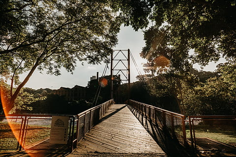 pod maro de cablu, pod, clădire, Boardwalk, balustradă, cale, copac, apă, verde, oraș, mireasă, ponte, brasil, Brazilia, tapet, râu, Borba, semnal luminos, arhitectură, plantă, natură, cer, construită, conexiune, nici o persoana, calea de urmat, direcţie, zi, pod - om construit, în aer liber, podeț, transport, lumina soarelui, canal, lung, 5K, CC0, domeniu public, fără drepturi de autor