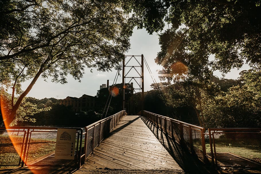pont de cable marró, pont, edifici, passeig marítim, barana, Camí, arbre, aigua, verd, ciutat, núvia, Brasil, fons de pantalla, riu, borba, flamarada, arquitectura, planta, naturalesa, cel, estructura construïda, connexió, cap gent, el camí a seguir, direcció, dia, pont - estructura feta per l'home, a l'aire lliure, passarel·la, transport, llum solar, canal, llarg, 5K
