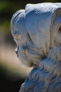 statui, îngeri, artă și sculptură, reprezentare, sculptură, statuie, creativitate, a închide, reprezentare umană, să se concentreze asupra primelor elemente, nici o persoana, ambarcațiune, zi, asemănarea bărbaților, natură, pasăre, în aer liber, culoare alba, asemănarea feminină, înger, 5K, CC0, domeniu public, fără drepturi de autor