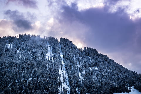 Áustria, nauders, Alpes, neve, arvores, expor, Dom, nuvens, inverno, céu, nuvem - céu, árvore, plantar, beleza na natureza, scenics - natureza, natureza, cena tranquila, temperatura fria, ninguém, tranquilidade, visão de baixo ângulo, cena não urbana, floresta, dia, meio Ambiente, montanha, ao ar livre, Pinheiro, árvore conífera, montanha coberta de neve, floresta de pinheiros, 5K, CC0, domínio público, royalty free