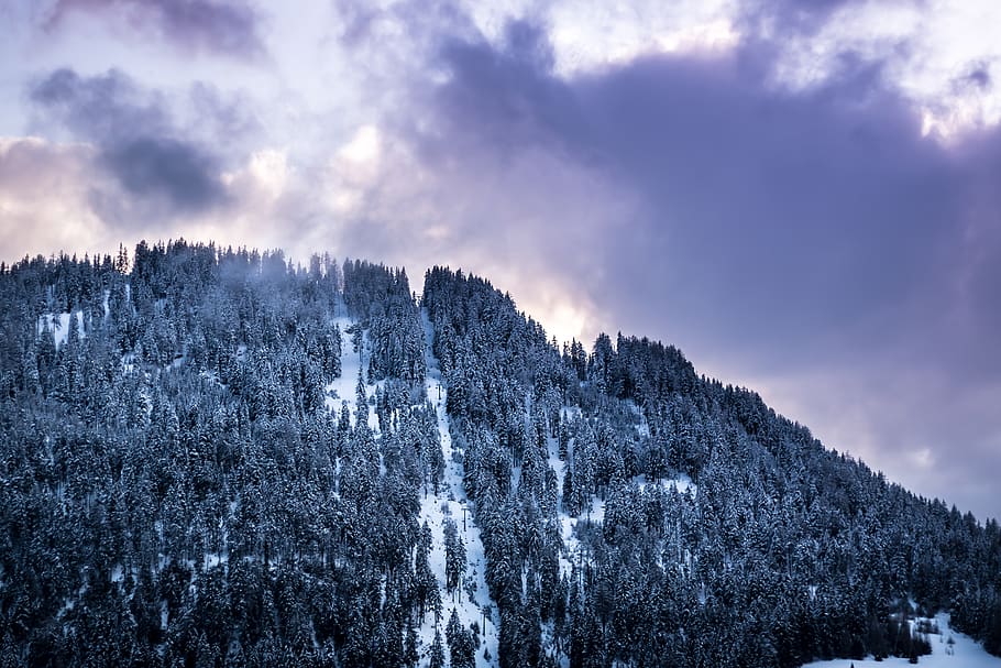 Austràlia, nauders, Alps, neu, arbres, exopsure, sol, núvols, hivern, cel, núvol - cel, arbre, planta, bellesa a la natura, escenics - natura, naturalesa, escena tranquil·la, temperatura de fred, cap gent, tranquil·litat, vista d’angle baix, escena no urbana, bosc, dia, medi ambient, muntanya, a l'aire lliure, pi, arbre de coníferes, muntanya nevada, bosc de pi, 5K