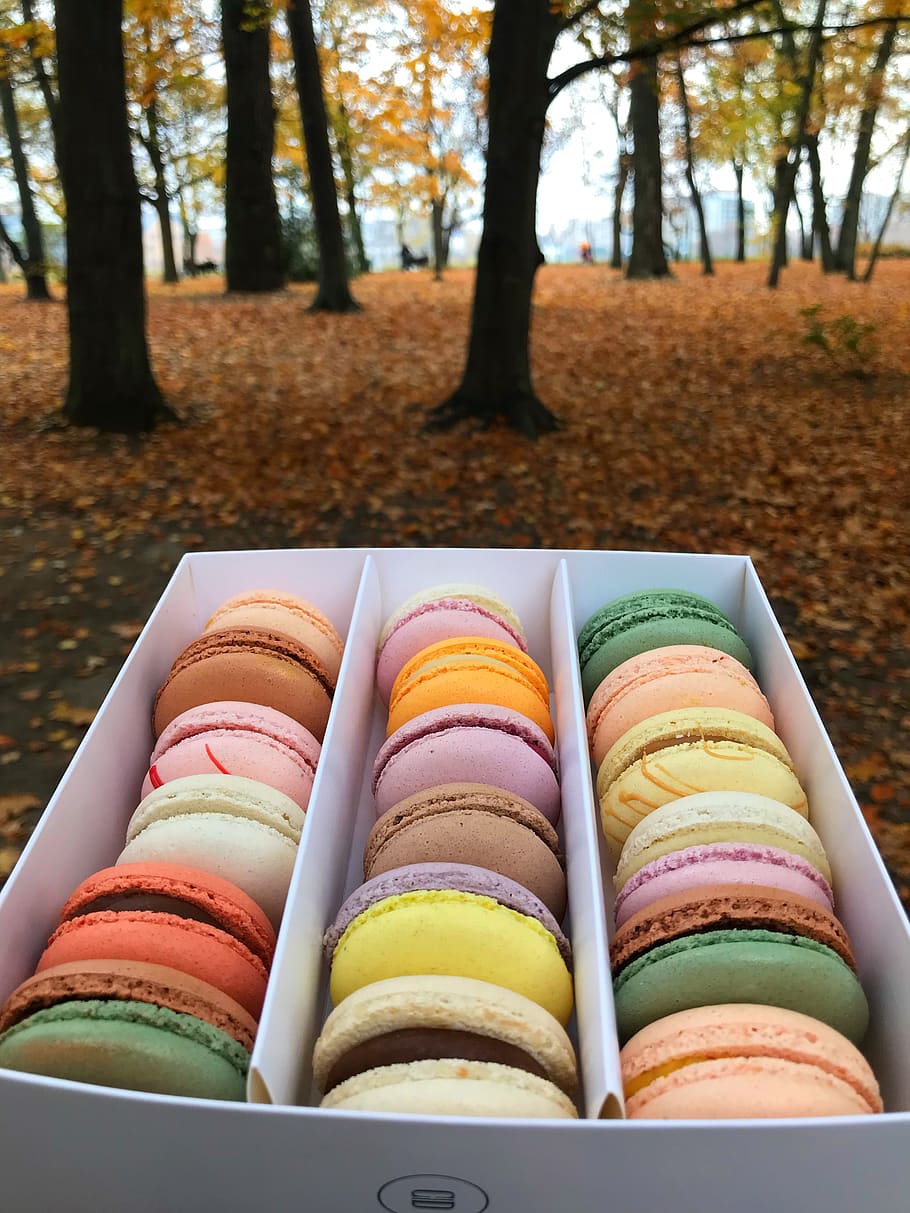 macarrons, colors, vainilla, multicolor, menjar, menjar i beguda, menjar dolç, indulgència, arbre, llest per menjar, dolç, macarró, cap gent, natura morta, frescor, menjar poc saludable, elecció, en fila, postres, temptació, dia, centrar-se en primer pla, variació, 4K