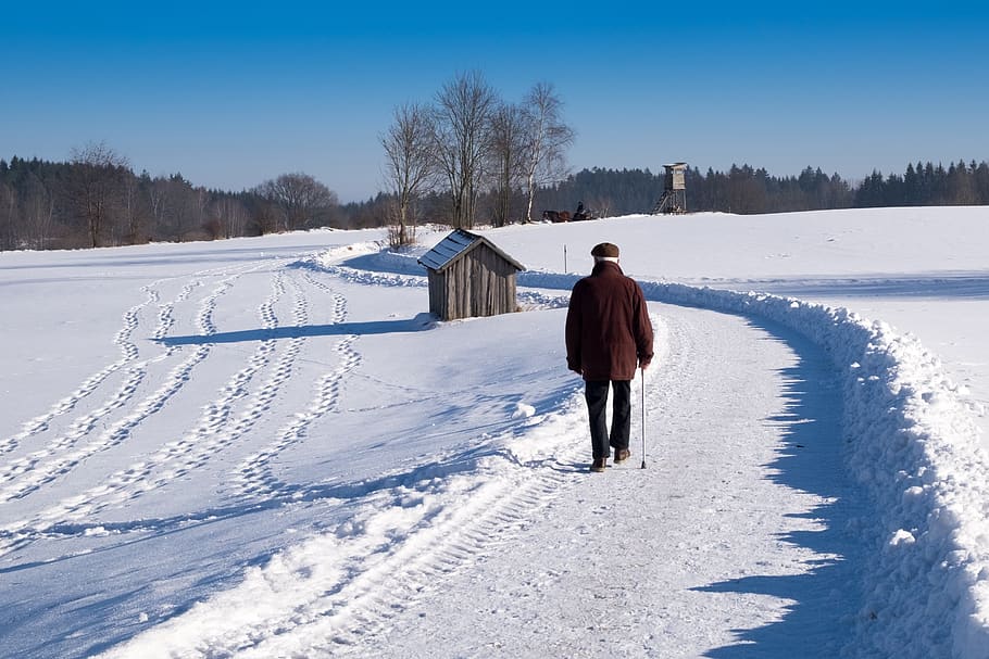vinter, farvel, væk, Eventide, human, personlig, gå, kold temperatur, sne, rigtige mennesker, en person, fuld længde, livsstil, Mark, natur, træ, dækker, jord, herrer, skønhed i naturen, hvid farve, plante, bagfra, fritidsaktivitet, varme tøj, udendørs, 2K