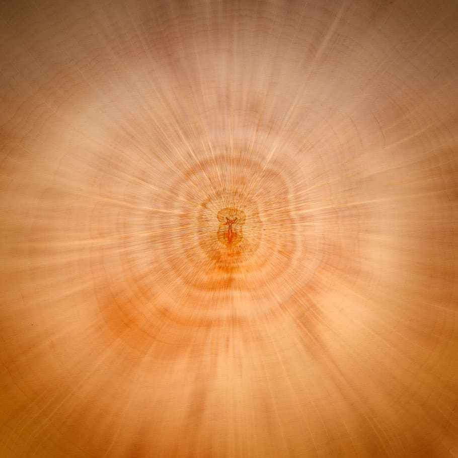 explosió, zoom, fusta, gra, efecte zoom, focus, ampliació, anells anuals, patró, fons, cercle, resum, forma geomètrica, forma, cap gent, llum - fenomen natural, naturalesa, trencat, moviment, moviment borrós, marc complet, tecnologia, il·luminat, a l'aire lliure, color daurat, brillant, concèntric, trencament, 1080P