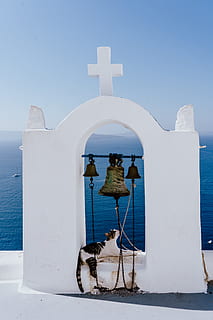 pelo corto, grigio, bianca, gatto, campana, attraversare, mare, oceano, acqua, religione, fede, costa, luce del sole, estate, blu, carta da parati hd, sfondo, paesaggio, Grecia, oium, santorini, isole delle Cicladi, Chiesa, isola, Mar Egeo, Oia, cappella, mar Mediterraneo, all'aperto, architettura, Europa, mykonos, paesi mediterranei, viaggio, vacanze, forma a croce, turismo, cultura greca, isole greche, cristianesimo, natura, posto famoso, nessuno, cielo, culture, 5K, CC0, dominio pubblico, privo di copyright