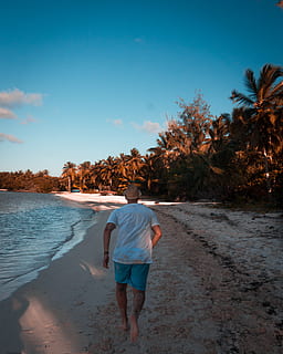 mand, gå, strand strand, tøj, beklædning, shorts, human, person, udendørs, hav, ocean, natur, vand, kystlinjen, jord, sommer, kyst, forbjerg, strand, tropisk, træ, plante, Palmer, bagfra, himmel, en person, fuld længde, fritidsaktivitet, rigtige mennesker, livsstil, skønhed i naturen, herrer, afslappet tøj, 2K, CC0, offentligt domæne, royaltyfrie