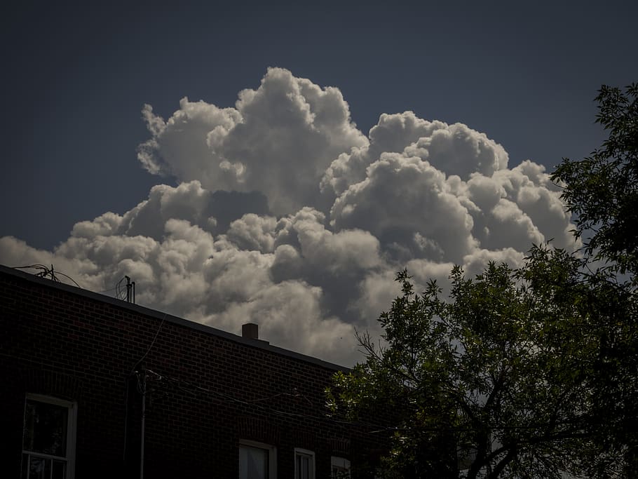 temps, naturalesa, Cúmulus, cel, núvol, a l'aire lliure, tempesta, esponjós, nimbus, pluja, cotó, ennuvolat, blau, núvols, cel blau, sostre, silueta, univers, astronomia, espai exterior, núvol - cel, arquitectura, estructura construïda, arbre, exterior de l'edifici, vista d’angle baix, edifici, planta, cap gent, dia, casa, barri residencial, bellesa a la natura, creixement, 4K
