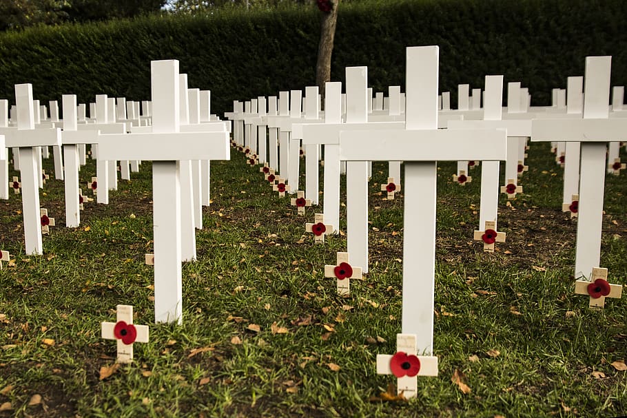 parco commemorativo, pianta, erba, tomba, cimitero, natura, memoriale, Colore bianco, nessuno, pietra, di fila, giorno, lapide, all'aperto, tristezza, architettura, campo, religione, storia, il passato, rispetto, 5K