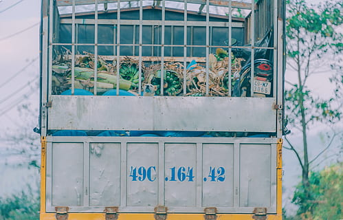 gray, yellow, metal garbage bin, building, color, daylight, garbage, number, steel, street, trash, truck, architecture, building exterior, built structure, day, no people, window, outdoors, text, wall - building feature, metal, group of animals, nature, communication, glass - material, green color, focus on foreground, plant, graffiti, industry, 4K, CC0, public domain, royalty free
