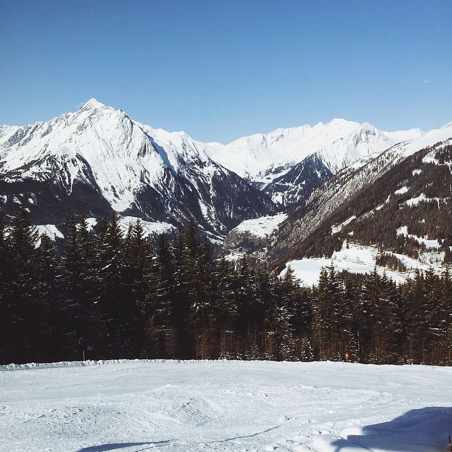 freddo, alpines, Snowboard, sciare, foresta, sole, rocce, inverno, la neve, cielo, mattina, montagna, alberi, temperatura fredda, bellezza nella natura, scenics - natura, ambiente, scena tranquilla, catena montuosa, montagna innevata, la tranquillità, pianta, albero, giorno, paesaggio, Colore bianco, natura, scena non urbana, nessuno, all'aperto, Pino, picco di montagna, albero di conifere, 1080P