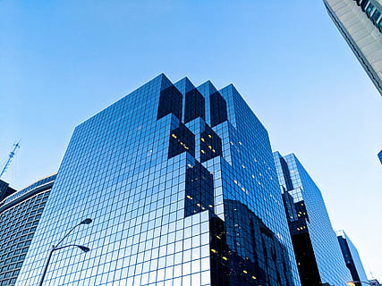 edifici de finestres de vidre, edifici d'oficines, edifici, ciutat, urbà, de gran alçada, 365 slater st, Canadà, ottawa, arquitectura, ocell, animal, metròpolis, torre, fletxa, campanar, centre de la ciutat, habitatge, edifici d'apartaments, vianants, exterior de l'edifici, estructura construïda, modern, exterior d’edifici d’oficines, vista d’angle baix, cel, vidre - material, cel clar, alta - alta, oficina, gratacels, blau, naturalesa, cap gent, reflexió, dia, districte financer, vidre, 4K, CC0, domini públic, lliure de regalies