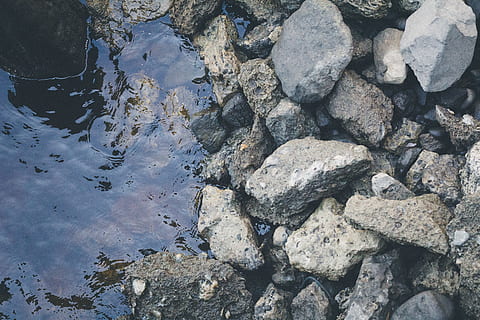 water, rocks, river, shells, shore, downtown, wilmington, north carolina, solid, rock, rock - object, high angle view, nature, day, no people, outdoors, stone - object, land, tranquility, textured, beauty in nature, stone, sunlight, beach, full frame, backgrounds, pebble, purity, shallow, 5K, CC0, public domain, royalty free