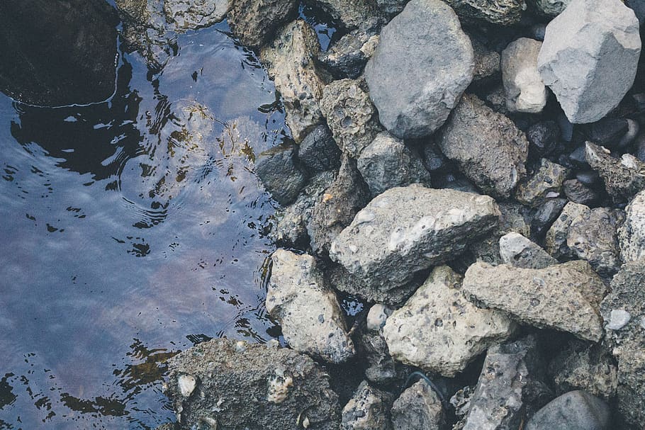 Wasser, Felsen, Fluss, Muscheln, Ufer, Innenstadt, Wilmington, North Carolina, solide, Rock, Rock - Objekt, High Angle View, Natur, Tag, keine Leute, draußen, Stein - Objekt, Land, Ruhe, texturiert, Schönheit in der Natur, Stein, Sonnenlicht, Strand, Vollbild, Hintergründe, Kieselstein, Reinheit, flach, 5K