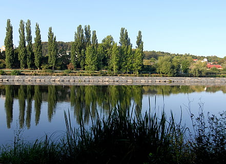 Reflexion, Wasser, Pappeln, Damm, Linie, Baum, Pflanze, See, Himmel, Ruhe, ruhige Szene, Schönheit in der Natur, Szenen - Natur, Natur, keine Leute, Wachstum, Tag, Nicht-städtische Szene, klarer Himmel, Ufergegend, grüne Farbe, idyllisch, draußen, 2K, CC0, gemeinfrei, lizenzfrei