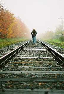 Canada, québec, man, wandelen, mist, ochtend-, trein, humeurig, avontuur, reizen, herfst, Trein rails, spoor, spoorlijn, spoor transport, vervoer, richting, een persoon, de weg vooruit, echte mensen, achteraanzicht, volledige lengte, boom, fabriek, levensstijlen, dag, perspectief verminderen, natuur, vrijetijdsbesteding, hemel, staand, verdwijnpunt, buitenshuis, verandering, 5K, CC0, publiek domein, royaltyvrij