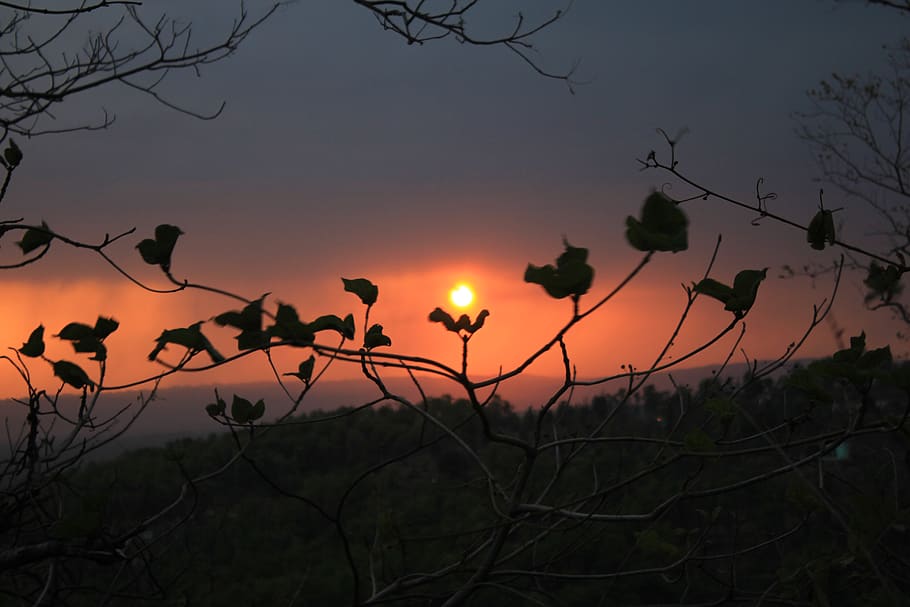 Indië, rishikesh, zonsondergang, zon, rood, berg-, hemel, schoonheid in de natuur, fabriek, silhouet, kalmte, natuur, boom, tak, geen mensen, scenics - natuur, rustige scène, Oranje kleur, groei, buitenshuis, idyllisch, lage hoekweergave, kale boom, niet-stedelijke scène, 5K