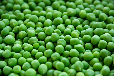 voll, Frame erschossen, Grün, Erbsen, Hintergrund, Bohnen, Nahansicht, Diät, Lebensmittel, frisch, Frische, Gourmet, wachsen, gesund, Hülsenfrucht, natürlich, Ernährung, organisch, Weide, Haufen, roh, Samen, lecker, Gemüse, grüne Farbe, Vollbild, Essen und Trinken, grüne Erbse, Hintergründe, gesundes Essen, keine Leute, Fülle, drinnen, große gruppe von gegenständen, Wohlbefinden, Natur, Kugel, Hülsenfruchtfamilie, 4K, CC0, gemeinfrei, lizenzfrei