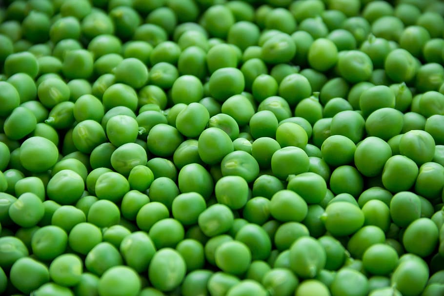ple, tret de marc, verd, pèsols, fons, mongetes, primer pla, dieta, menjar, fresc, frescor, gourmet, créixer, saludable, llegum, natural, nutrició, orgànic, pastures, pila, crua, llavor, saborós, verdures, color verd, marc complet, menjar i beguda, pèsol verd, alimentació saludable, cap gent, abundància, vegetals, a l'interior, gran grup d'objectes, benestar, naturalesa, esfera, família de llegums, 4K