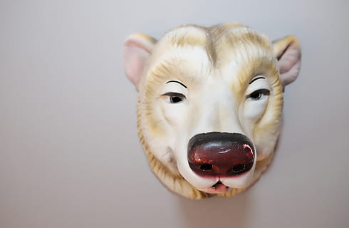 masker, binnenshuis, studio opname, detailopname, vertegenwoordiging, dierlijke representatie, zoogdier, kijkend naar de camera, enkel object, dier, portret, dierlijke thema's, geen mensen, huisdieren, huiselijk, grijs, grijze achtergrond, speelgoed-, één dier, kopie ruimte, dierenkop, 1080P, CC0, publiek domein, royaltyvrij