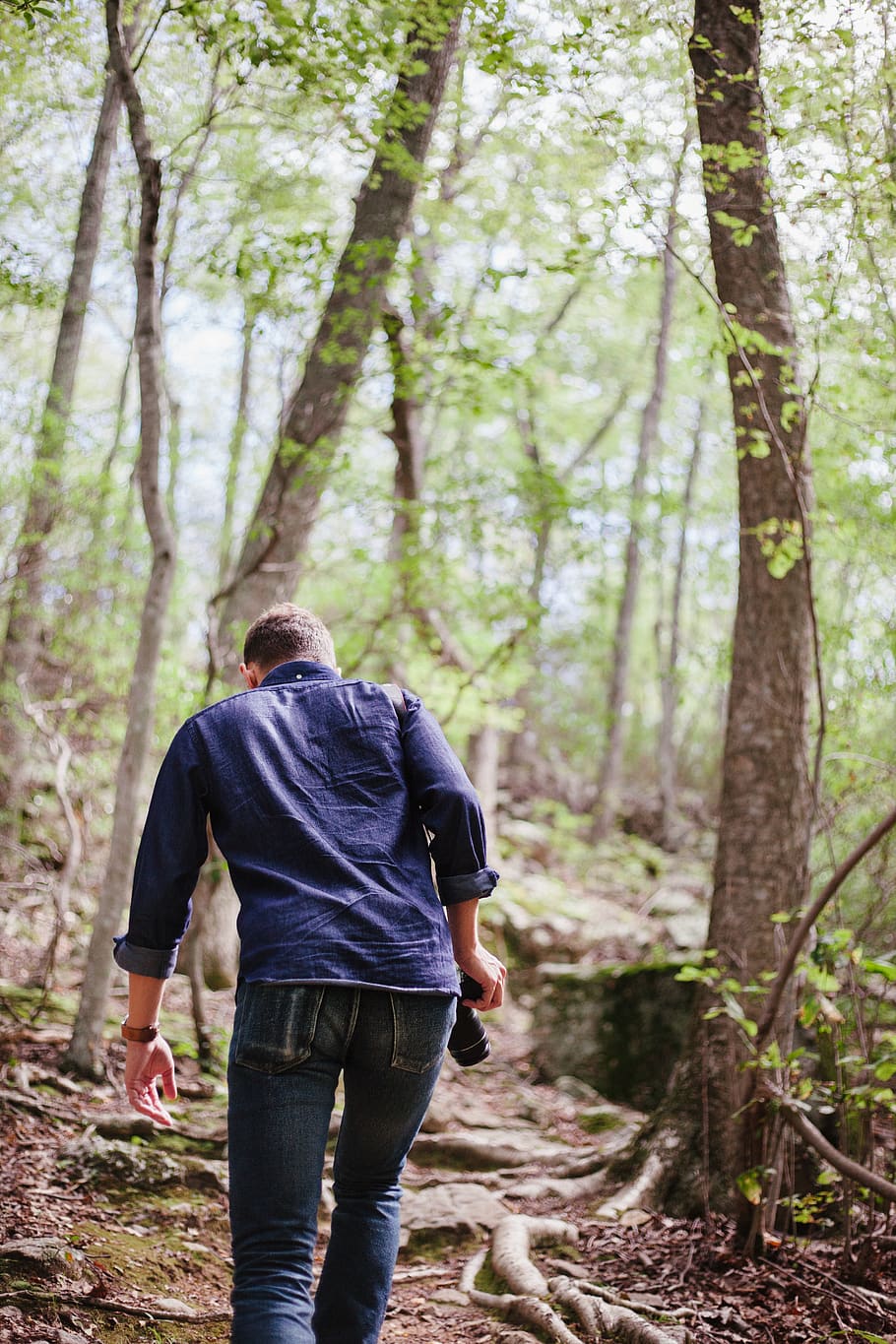 caminada, bosc, explorar, escapar, senderisme, boscos, fusta, arbre, arbres, explorador, caminar, escalar, aventura, viu, verd, càmera, fotògraf, estiu, juliol, vista del darrere, terra, activitat d'oci, planta, roba casual, persones reals, estils de vida, naturalesa, homes, dia, gent, longitud completa, de peu, festa, dues persones, tronc, a l'aire lliure, parella - relació, 5K