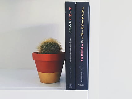html, css, javascript, jquery, livres, conception, développement, la programmation, code, codage, apprentissage, éducation, à l'intérieur, personne, fermer, plante en pot, prise de vue en studio, nombre, thermomètre, nature morte, table, chaleur - température, équipement, précision, beauté, coupé, fond blanc, publication, la nature, 4K, CC0, domaine public, libre de droits