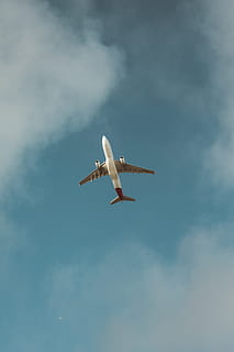 Weiß, Verkehrsflugzeug, Himmel, Flugzeug, Wolke, Ebene, klarer Himmel, blauer Himmel, Transit, Transport, Reise, wandern, Fernweh, erkunden, Luftfahrt, Flugzeug beobachten, Südwesten Fluggesellschaft, United Airline, Alaska Fluggesellschaft, fliegend, Luftfahrzeug, Luft, Transportart, Flughafen, Geschäft, landen - aufsetzen, Blau, Passagier, Luft-und Raumfahrtindustrie, Urlaube, abheben, Flugzeugflügel, wolke - himmel, Geschäftsreise, Airbus, Motor, reisende Leute, Ankunft, Geschwindigkeit, Tourismus, Turbine, Jet - Band, Wolkengebilde, Atemwege, Technologie, 4K, CC0, gemeinfrei, lizenzfrei