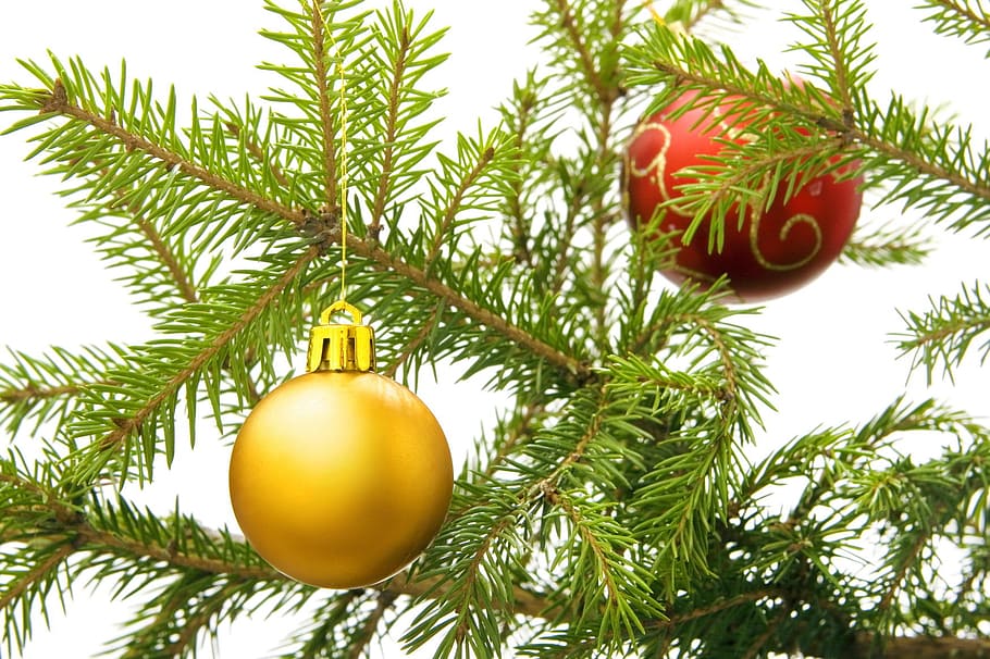 fons, pilota, bauble, pilotes, baubles, celebració, Nadal, , decoració, festa, alegre, ornament, esfera, vibrant, yule, arbre, planta, adorn de Nadal, decoració de Nadal, branca, color verd, naturalesa, color daurat, cap gent, vacances - esdeveniment, primer pla, arbre de Nadal, penjant, esdeveniment, 720P