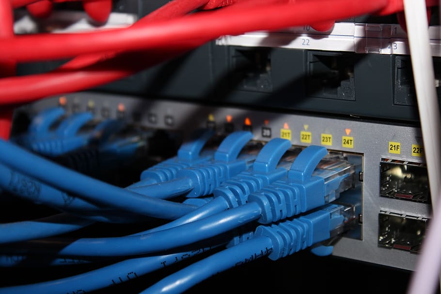 patch panel, cat 6, patch lead, red, blue, comms rack, network, switch, cabling, connections, ethernet, technology, communication, broadband, connection, cable, internet, computer network, network connection plug, computer, wireless technology, computer cable, equipment, network server, indoors, close-up, computer equipment, microbiology, router, control panel, telecommunications equipment, control, electricity, biology, wired, global communications, fiber optic, connection block, 5K