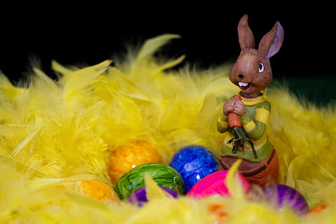 Osterhase, Ostereier, Ostern, Grußkarte, Feder, Festival, Hase, Zahl, lustig, Dekoration, Frühling, Osterthema, süß, Osterdekoration, Deko, Ostergrüße, Farbe, deco-hase, bunt, Ostergruß, mehrfarbig, Feier, Darstellung, Osterei, Kunst und Handwerk, Tierdarstellung, Urlaub, Ei, Lebensmittel, keine Leute, Nahansicht, Tier, Gelb, Religion, Ferienveranstaltung, 5K