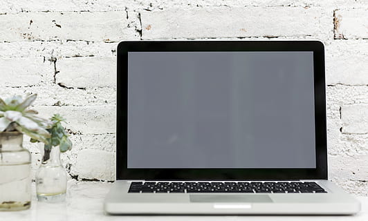 laptop computer , device, electronics, keyboard, laptop, plant, screen, technology, communication, wireless technology, computer, connection, copy space, no people, black color, white color, blank, table, device screen, computer network, computer equipment, internet, modern, flower, portability, 4K, CC0, public domain, royalty free