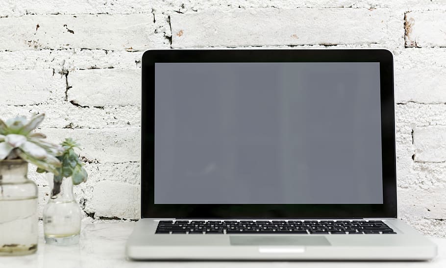 computer portatile, dispositivo, elettronica, tastiera, il computer portatile, pianta, schermo, tecnologia, comunicazione, tecnologia wireless, computer, connessione, copia spazio, nessuno, colore nero, Colore bianco, vuoto, tavolo, schermo del dispositivo, rete di computer, attrezzatura informatica, Internet, moderno, fiore, portabilità, 4K