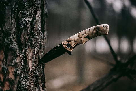 brunt håndtag kniv, træstamme, bagagerum, fokus på forgrunden, træ, tæt på, plante, ingen mennesker, dag, metal, udendørs, træ - materiale, tekstureret, natur, selektiv fokusering, dyr, dyre temaer, et dyr, plantebark, forvitret, afdeling, bark, 5K, CC0, offentligt domæne, royaltyfrie
