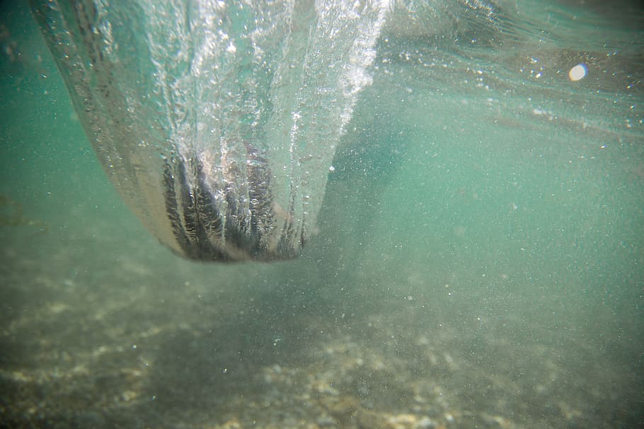sub apă, stâncă, acțiune, bule, mare, natură, ocean, apă, animale tematice, sub mare, animal, animale sălbatice, înot, un animal, animale în sălbăticie, Viata marina, nici o persoana, zi, marin, în aer liber, mişcare, animale vertebrate, peşte, turcoaz colorat, 5K