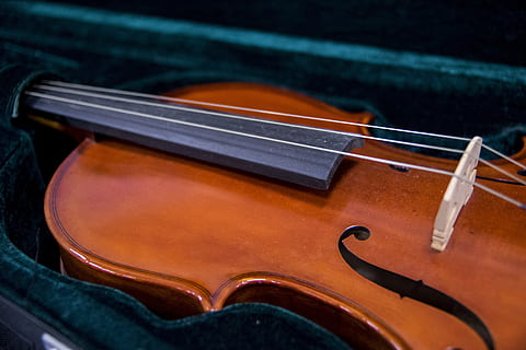 Geige, Musikinstrumente, Zeichenfolge, Musik-, Musikinstrument, Saiteninstrument, Kunst, Kultur und Unterhaltung, Musikausrüstung, klassische Musik, Musikinstrumentensaite, Holz - Material, Nahansicht, braun, Performance, keine Leute, Bogenmusikausrüstung, klassischer Stil, drinnen, Veranstaltung für darstellende Künste, schwarze Farbe, schwarzer Hintergrund, 5K, CC0, gemeinfrei, lizenzfrei