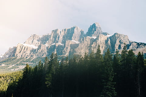 roca grisa, naturalesa, a l'aire lliure, cresta, muntanya, Serra, Canadà, muntanya del castell, flora, arbre, conífera, planta, pic, paisatge, picea, tanca, cobertura, pi, làrix, teix, escenics - natura, bellesa a la natura, cel, bosc, cap gent, terra, medi ambient, escena tranquil·la, tranquil·litat, escena no urbana, arbre de coníferes, dia, cim de muntanya, bosc de pi, formació, muntanya nevada, 4K, CC0, domini públic, lliure de regalies