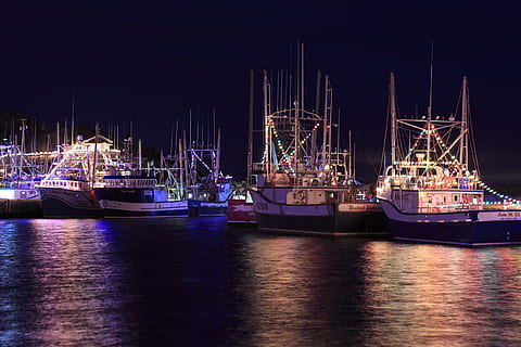 port, de, grave, newfoundland, labrador, canada, -, december, 22, fishing, vessels, night, celebrating, christmas, season, lights, taken, 2017, grave., xmas, boats, light, bright, decorations, nature, magical, newfoundland and labrador, outdoors, outside, dark, atlantic, holiday, glowing, winter, port de grave, joy, celebration, harbour, background, north, america, decor, twinkle, magic, flashing, editorial, illustrative, nautical vessel, transportation, water, mode of transportation, harbor, waterfront, illuminated, moored, reflection, sky, no people, ship, sailboat, sea, pier, mast, anchored, 2K