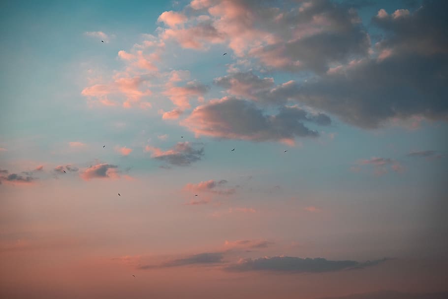 blanc, núvols, blau, cel, naturalesa, a l'aire lliure, núvol, Cúmulus, temps, ocell, animal, eski foça, gall dindi, sortida del sol, alba, posta de sol, vespre, cel vermell, ocells, llum solar, sol, cel blau, núvol - cel, bellesa a la natura, escenics - natura, tranquil·litat, escena tranquil·la, vista d’angle baix, color taronja, cap gent, idíl·lic, fons, cel dramàtic, marc complet, cloudscape, majestuós, meteorologia, cel romàntic, 5K