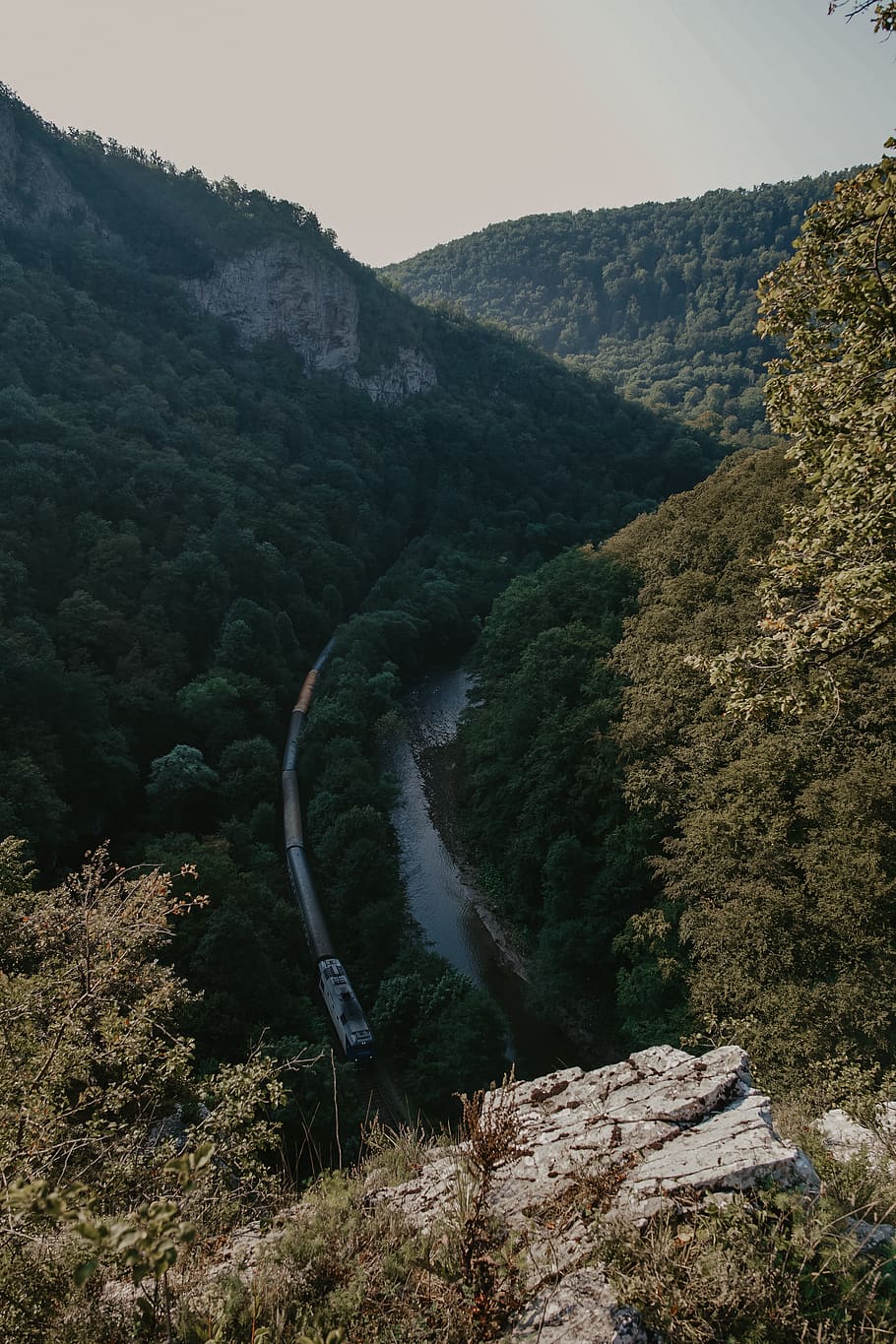 alberi dalle foglie verdi, natura, all'aperto, montagna, pendenza, valle, pianta, abete, albero, abies, scenario, olandese, canyon, scogliera, strada, paesaggio, vista aerea, macerie, fiume, acqua, ghiaia, scenics - natura, bellezza nella natura, scena tranquilla, la tranquillità, ambiente, scena non urbana, nessuno, giorno, cielo, catena montuosa, foresta, roccia, idilliaco, crescita, acqua corrente, 4K
