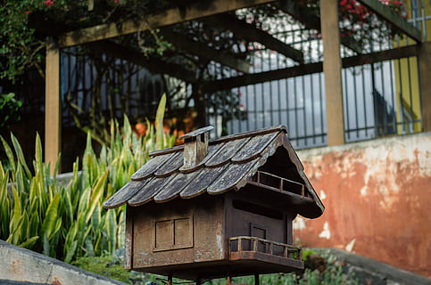 Briefkasten, Haus, Mini, klein, Miniatur, Zuhause, Gartenarbeit, gebaute Struktur, die Architektur, Gebäudehülle, Tag, Fokus auf den Vordergrund, keine Leute, Gebäude, Holz - Material, verlassen, Wandbau - Funktion, Natur, draußen, Pflanze, Dach, Fenster, beschädigt, Baum, Wand, Backstein, Decke, 4K, CC0, gemeinfrei, lizenzfrei
