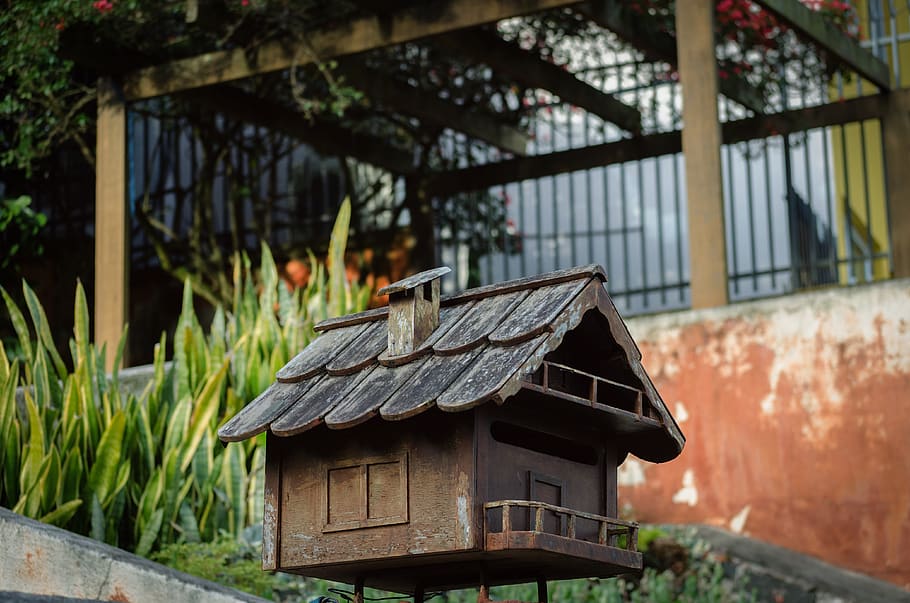 Briefkasten, Haus, Mini, klein, Miniatur, Zuhause, Gartenarbeit, gebaute Struktur, die Architektur, Gebäudehülle, Tag, Fokus auf den Vordergrund, keine Leute, Gebäude, Holz - Material, verlassen, Wandbau - Funktion, Natur, draußen, Pflanze, Dach, Fenster, beschädigt, Baum, Wand, Backstein, Decke, 4K