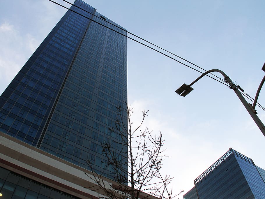 cel, arbre, llum, edifici, centre comercial, imax, estructura construïda, arquitectura, vista d’angle baix, exterior de l'edifici, ciutat, naturalesa, exterior d’edifici d’oficines, carrer, llum del carrer, cap gent, equips d’il·luminació, dia, arbre nu, a l'aire lliure, modern, torre, alta - alta, gratacels, 1080P