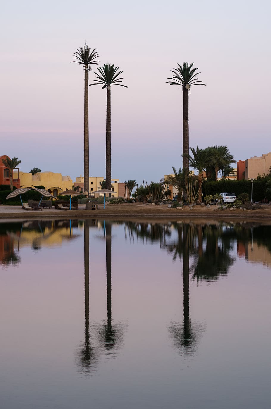 palmeres, llac, reflexió, platja, Egipte, elgouna, aigua, davant del mar, cel, Palmera, arquitectura, clima tropical, naturalesa, posta de sol, estructura construïda, arbre, cap gent, planta, tranquil·litat, aigua estancada, simetria, bellesa a la natura, escenics - natura, a l'aire lliure, piscina, piscina reflectant, 4K