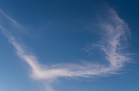 debesys, balta, mėlyna, „cloudscape“, subtilus, modelį, dangus, fonas, debesis - dangus, grožis gamtoje, žemas kampo vaizdas, nėra žmonių, ramybė, pobūdį, vaizdai - gamta, ramioje scenoje, dieną, lauke, balta spalva, idiliškas, aplinką, visą kadrą, garų takas, meteorologija, wispy, 2K, CC0, Viešasis domenas, nemokamai