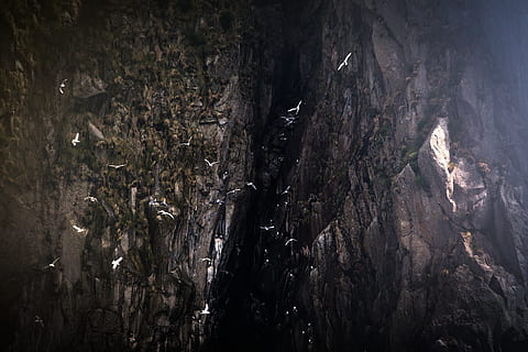 cueva de roca, naturaleza, al aire libre, cueva, acantilado, cañón, excursionismo, fauna silvestre, montaña, gaviotas, montañas, aves, America, oscuro, aventuras, misterio, canon 6d, colina baja, pizarra, río, agua, nadie, árbol, tranquilidad, día, planta, belleza en la naturaleza, bosque, tierra, escena no urbana, rock, material de madera, escena tranquila, luz del sol, paisajes - naturaleza, texturizado, ambiente, roca - objeto, 5K, CC0, dominio público, libre de derechos