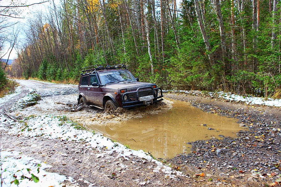 4x4, acceleració, acció, adrenalina, automàtic, autocross, automòbil, cotxe, país, creu, brutícia, deriva, conduir, ràpid, en moviment, tot terreny, offroad, manifestació, rallye, passeig, carretera, velocitat, esport, suv, transport, roda, manera de transport, arbre, bosc, terra, vehicle terrestre, naturalesa, planta, dia, fang, cap gent, escena no urbana, aigua, a l'aire lliure, Carretera bruta, vehicle utilitari esportiu, 2K