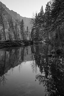 udsigt, træ, opdagelsesrejsende, udforske, eventyr tid, eventyr, fotografering, billede, sony, rejse, vistum, skønhed, smuk, sø, Amerika, USA, Skov, plante, afspejling, vand, ro, rolig scene, skønhed i naturen, scenics - natur, havnefronten, ingen mennesker, natur, ikke-urbane scene, dag, idyllisk, himmel, udendørs, vækst, symmetri, refleksions søen, 8K, CC0, offentligt domæne, royaltyfrie