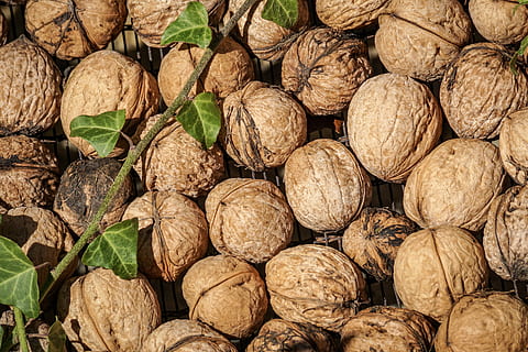 Nüsse, Nussbaum, Schale, Natur, braun, Herbst, lecker, Obst, gesund, Efeu, Grün, Vitamine, frisch, reif, trocken, Vollbild, Hintergründe, große gruppe von gegenständen, Nuss, Fülle, Nuss - Essen, Essen und Trinken, Wohlbefinden, gesundes Essen, keine Leute, Lebensmittel, Nahansicht, Stillleben, Frische, texturiert, Verkauf, Blatt, zu verkaufen, 5K, CC0, gemeinfrei, lizenzfrei
