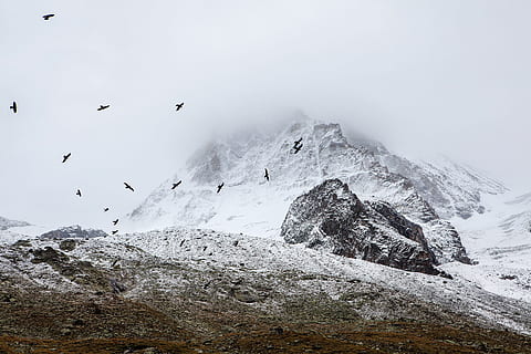 núvol, ennuvolat, muntanya, superior, paisatge, gel, neu, hivern, fred, ocell, Corb, temperatura de fred, temes d'animals, animal, escenics - natura, animals a la natura, bellesa a la natura, naturalesa, vertebrats, fauna animal, grup d’animals, dia, rock, rock - object, medi ambient, cap gent, muntanya nevada, Serra, a l'aire lliure, cim de muntanya, ramat d’ocells, 2K, CC0, domini públic, lliure de regalies
